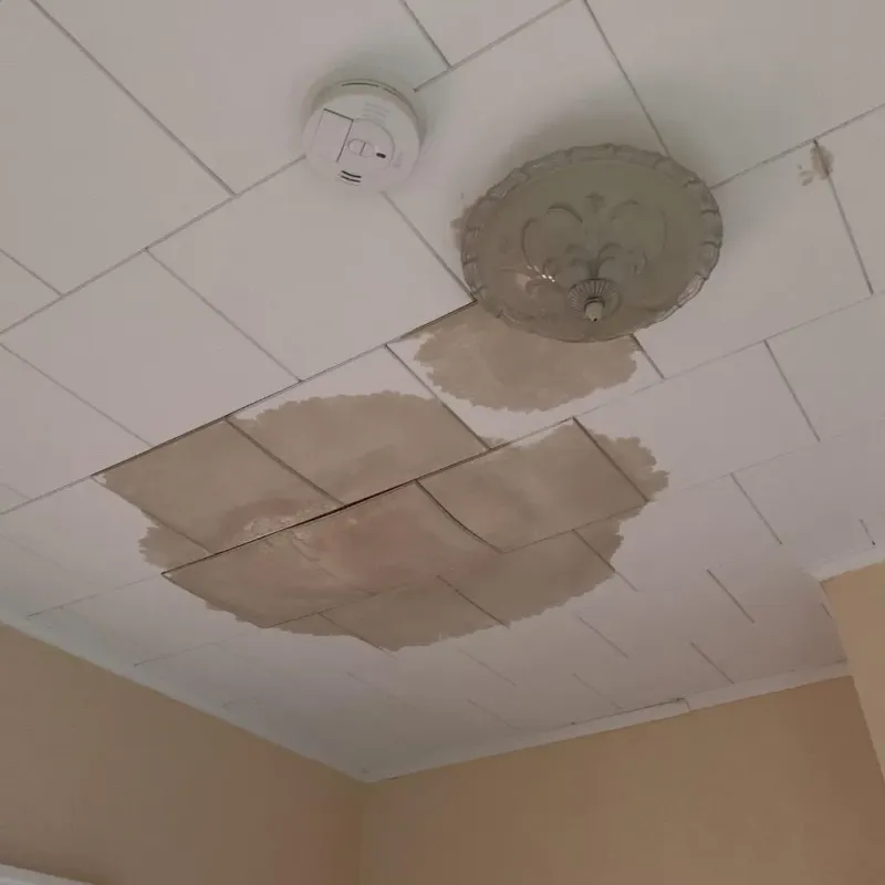 Ceiling Water Damage Repair in Mankato, KS