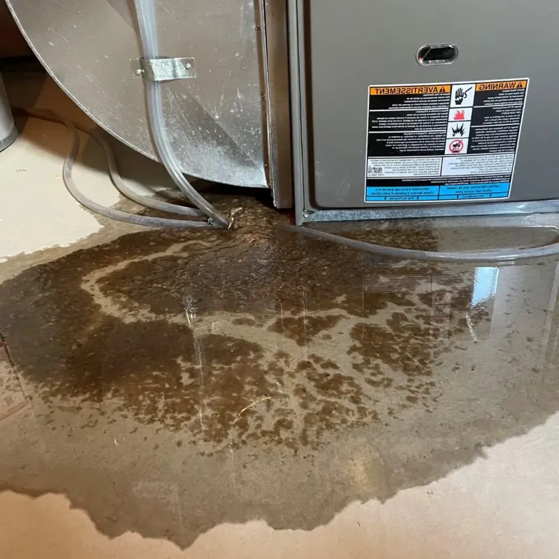 Pipe Burst and Leak Restoration in Mankato, KS