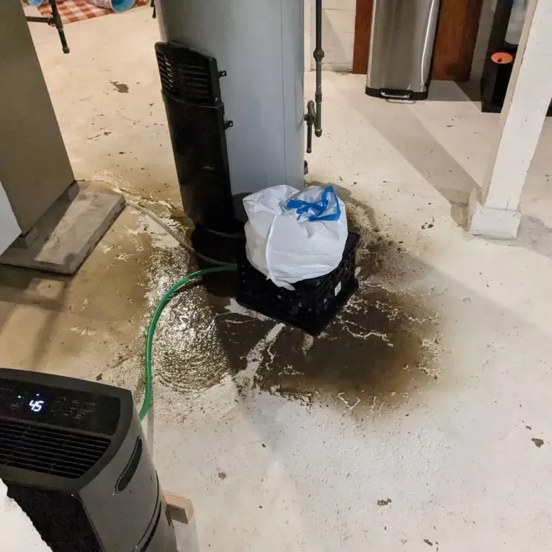 Sewage Backup Cleanup Service in Mankato, KS